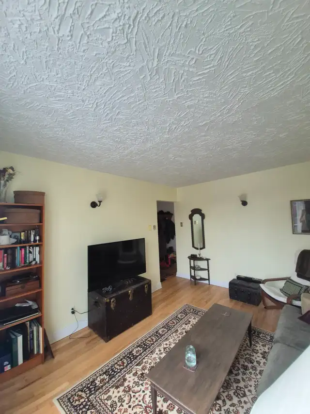 Grand  3/2 près du métro Cadillac