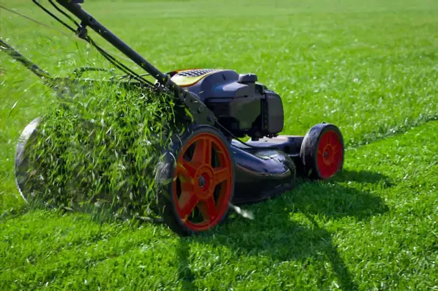 lawn maintenance, grass cutting