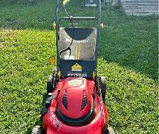 289-815-2441 MOBILE SMALL ENGINE REPAIR