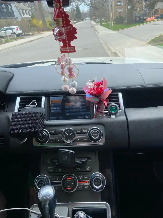 2010 Range Rover Sport Supercharger - Photo 10