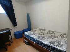 York Village for rent with Private washroom Available May 1