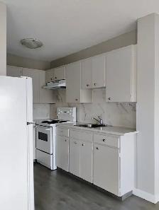 One bedroom and studio units available! - Photo 5