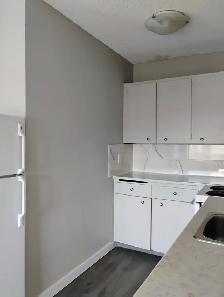 One bedroom and studio units available! - Photo 6