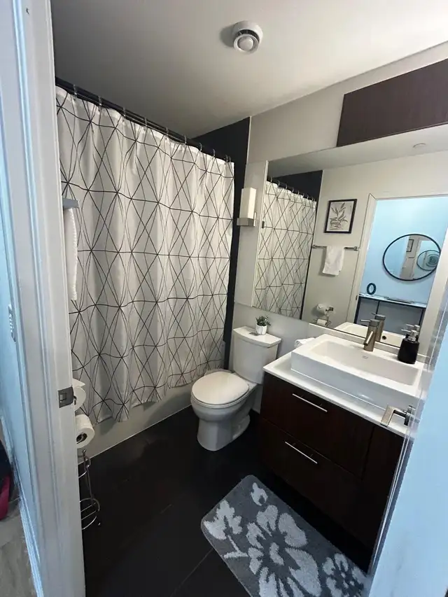 New furnished 2BD 2BA condo Downtown Toronto / September 1st - Photo 8