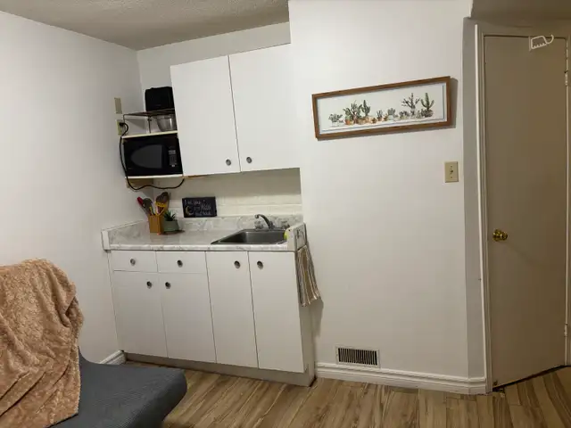 Available May 1st, furnished 2 bedrooms near Georgian College. - Photo 3