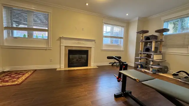 ⭐️ Bright 1-Bedroom Walkout separate entrance  upper Thornhill - Photo 3