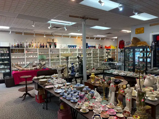 Insane Estate Sale - Photo 3