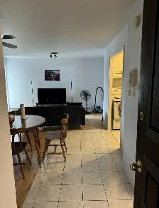 Loft à louer à Ste Foy pour juillet