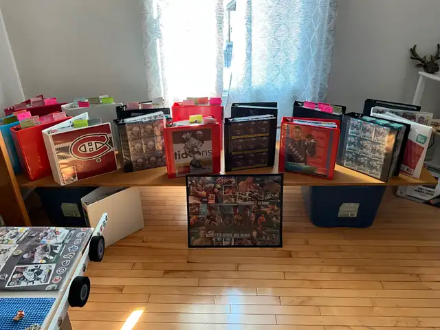 Collections de sports, etc.