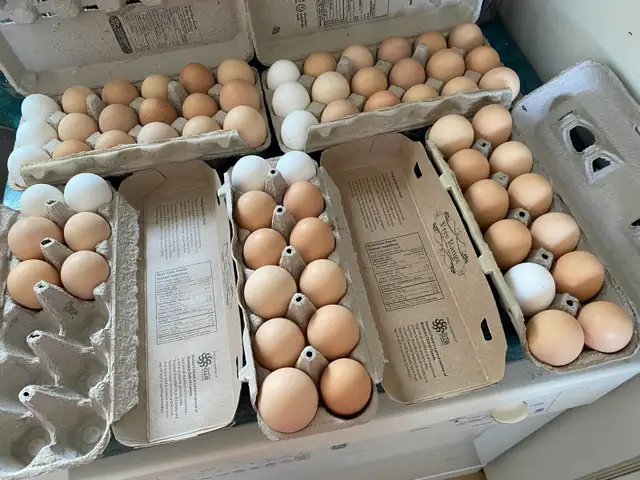 Farm Eggs - Photo 2
