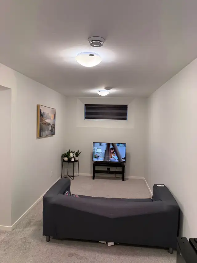 Furnished 1 Bedroom Basement condo