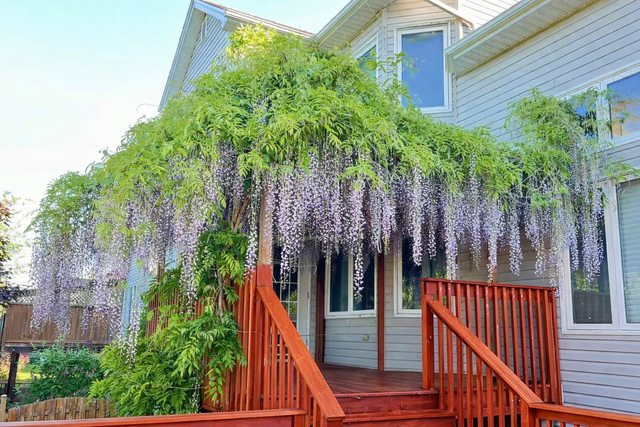 Previous QEII Lottery Dream House (Sale by Owner) - Photo 2