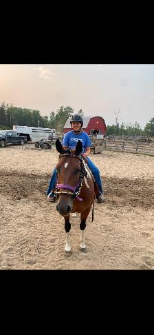 Paint mare 14 years old