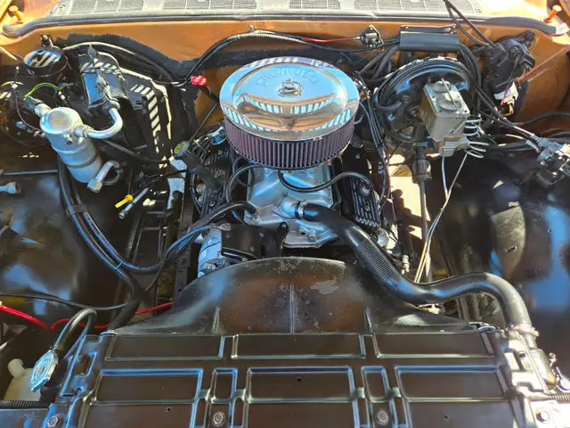 1980 Chevrolet C10 C1500 / 350 / RWD - Photo 27