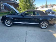 2011 Ford Mustang 3.7L V6 - Photo 2