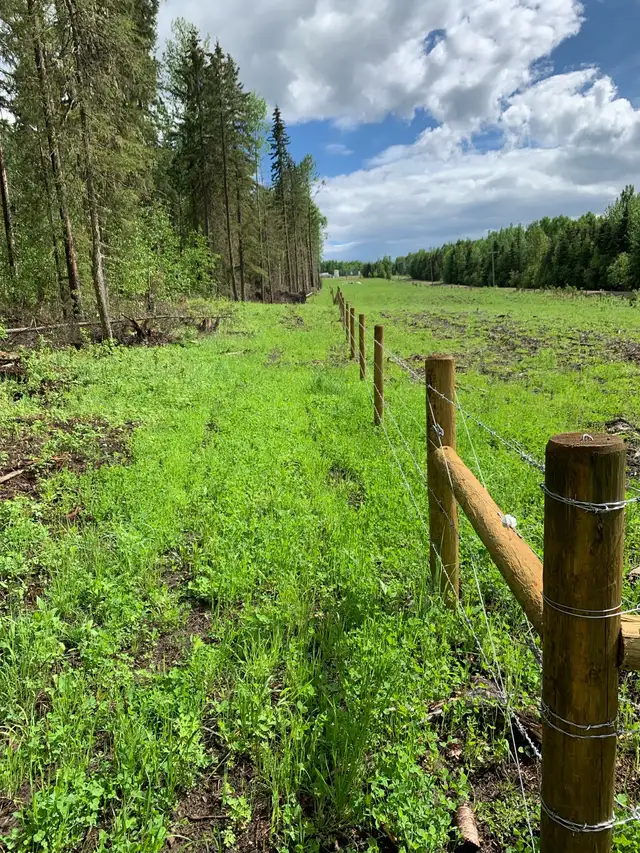 Custom Fencing -Livestock