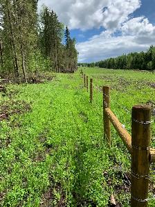 Custom Fencing -Livestock