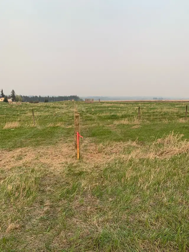 Custom Fencing -Livestock - Photo 2