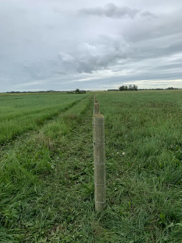 Custom Fencing -Livestock - Photo 3