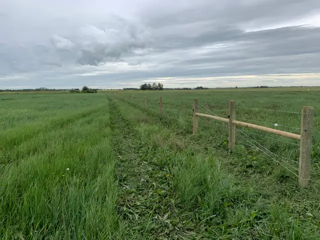 Custom Fencing -Livestock - Photo 4