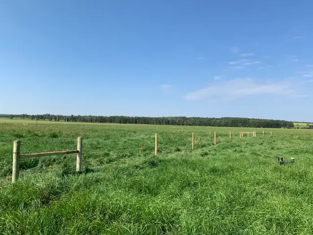 Custom Fencing -Livestock - Photo 7