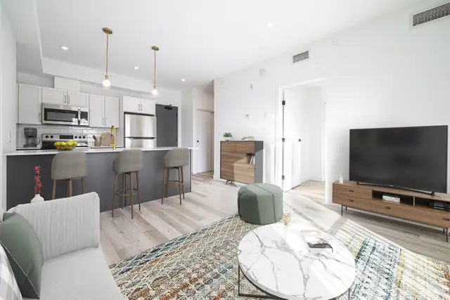 Stunning 1 Bedroom Apartment! Available June 1st! - Photo 2