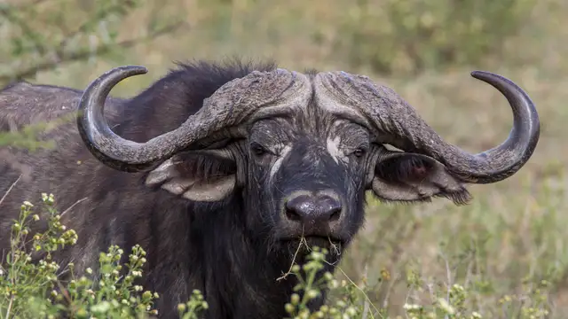 photos selling different sizes diamond light photography - Photo 4