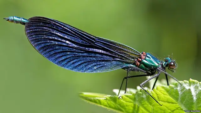 photos selling different sizes diamond light photography - Photo 5