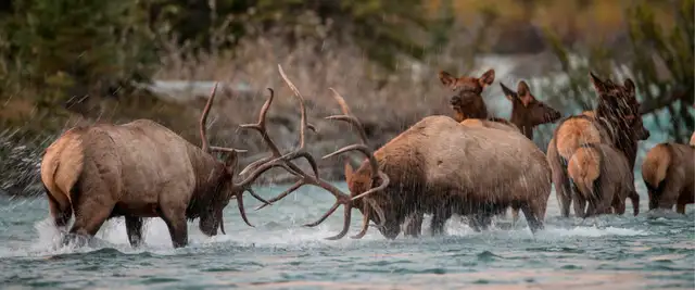 photos selling different sizes diamond light photography - Photo 6