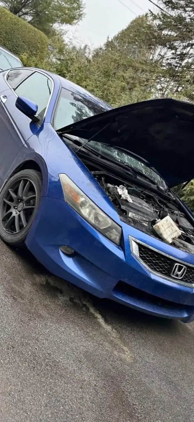 Cash for all the trash (647) 463-3467