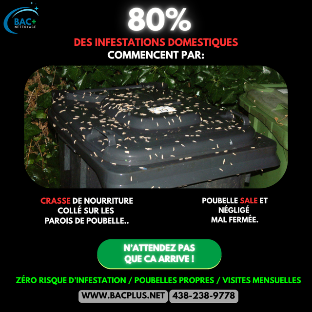 Nettoyage de vos poubelles pour l'été ! - Photo 2