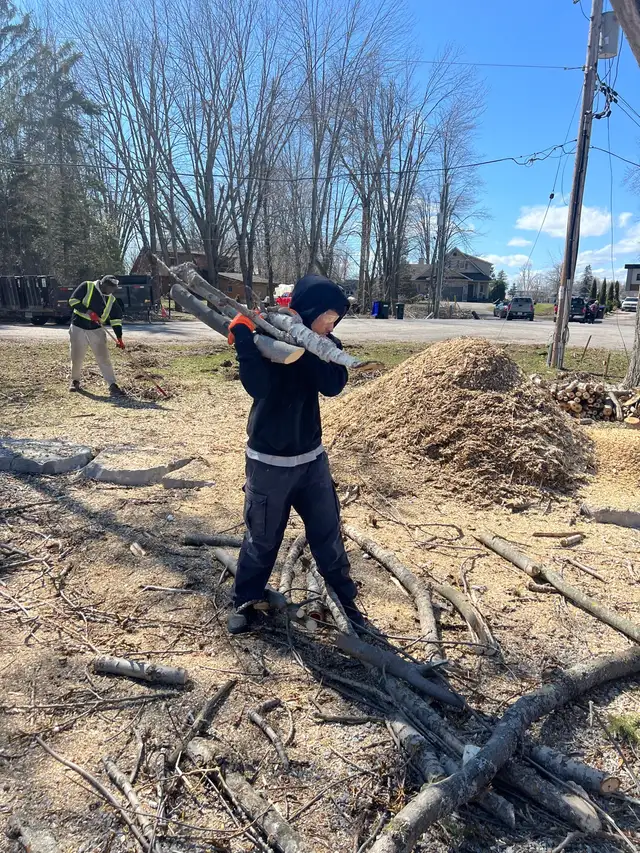 (Not hiring) 3 strong helpers with G available asap - Photo 2