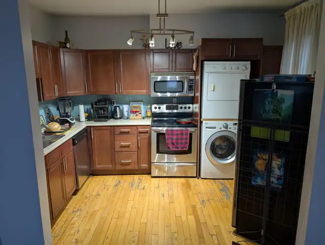 Woman Roommate NDG Montreal $825 / month all included - Photo 8