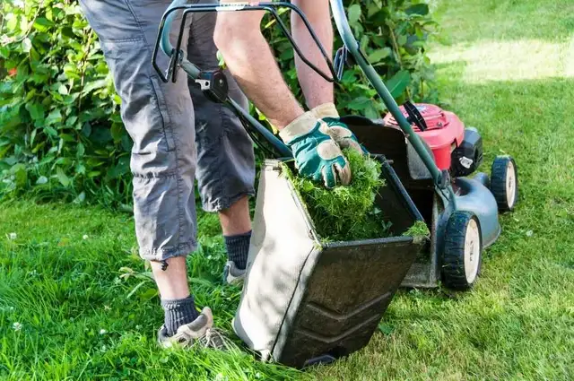 lawn maintenance