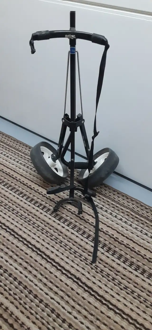 GOLF CLUBS, BAG, AND CART - Photo 6