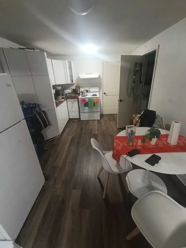 3 1/2 ANJOU (H1K 3G3) DEMI SOUS-SOL 1200$ - Photo 3