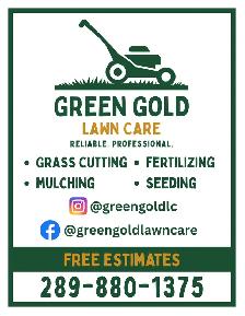 Lawn Cutting and Maintenance