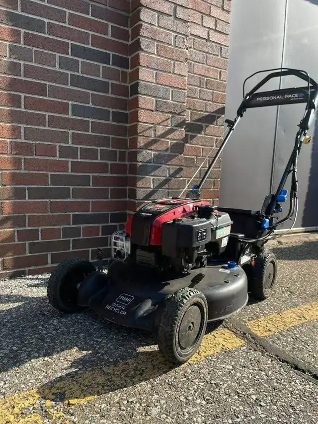 Lawn In Order – Affordable Lawn Mowing & Yard Care in Windsor