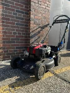 Lawn In Order – Affordable Lawn Mowing & Yard Care in Windsor