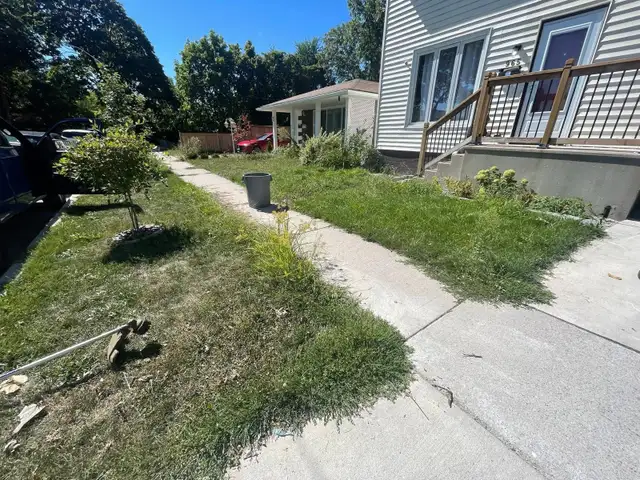 Lawn In Order – Affordable Lawn Mowing & Yard Care in Windsor - Photo 2