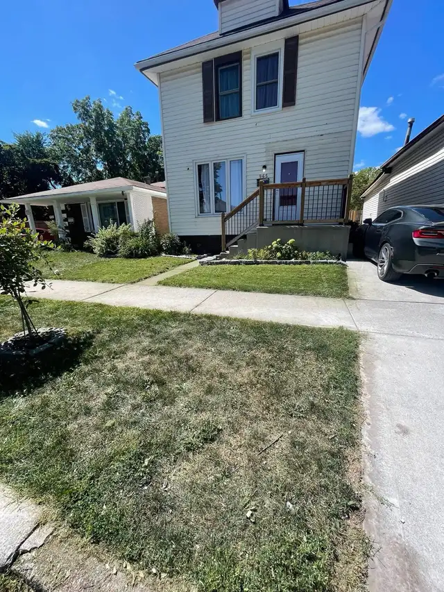 Lawn In Order – Affordable Lawn Mowing & Yard Care in Windsor - Photo 3