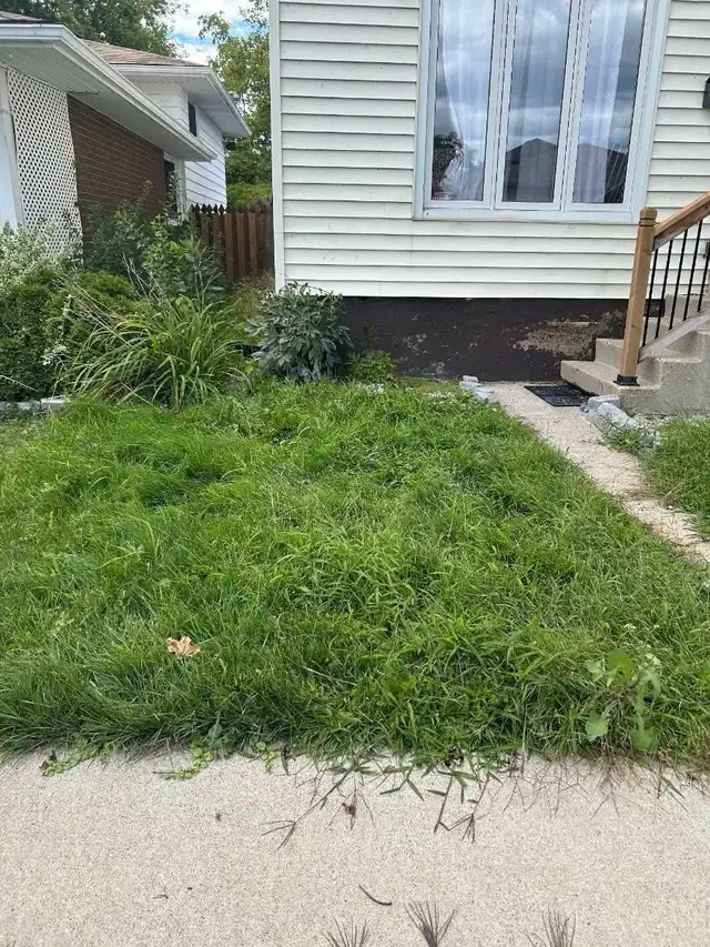 Lawn In Order – Affordable Lawn Mowing & Yard Care in Windsor - Photo 4