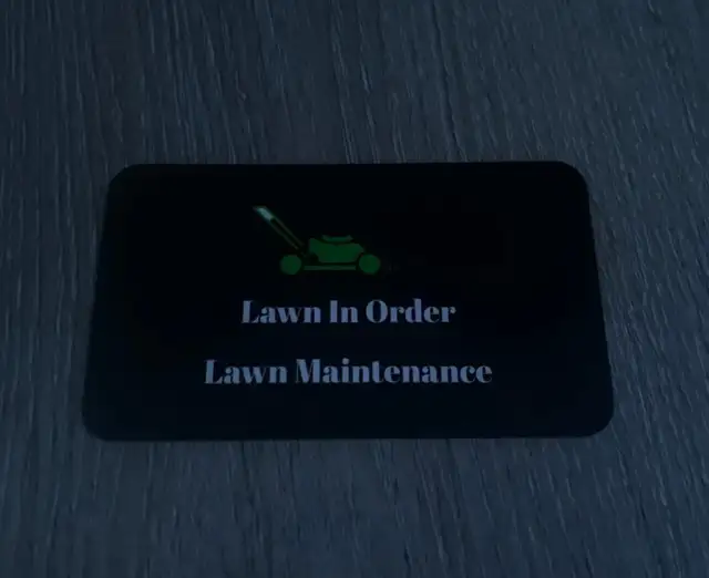 Lawn In Order – Affordable Lawn Mowing & Yard Care in Windsor - Photo 6