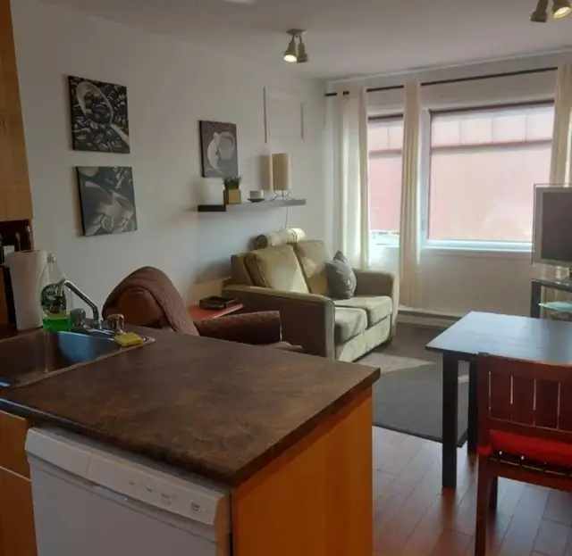 appartement  temporaire - Photo 6