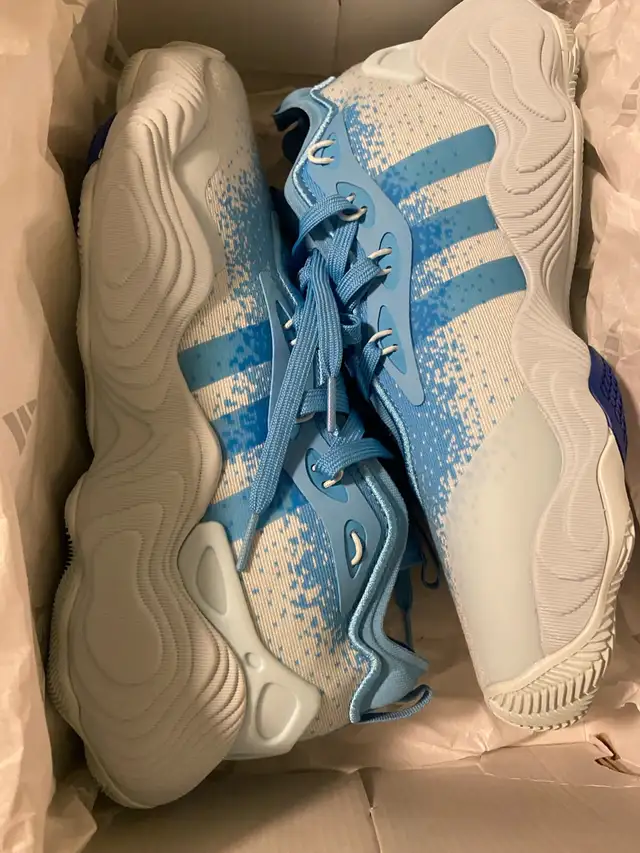 Trey Young 3s - Photo 2