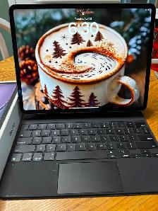 Like-New iPad Air and access