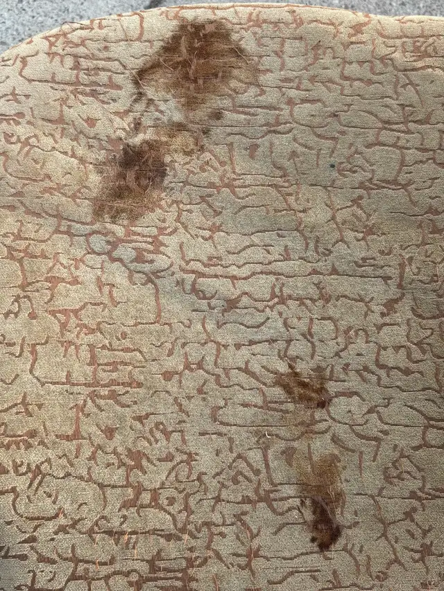 Table and Chairs - Photo 3