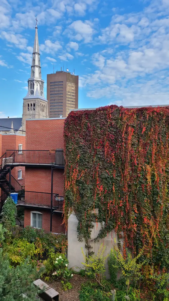 Spacious 2-Bedroom Apartment – 2-Min Walk to Beaudry Metro - Photo 20