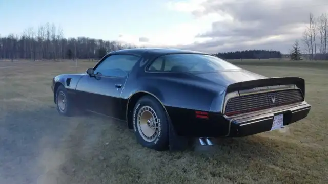 1981 Pontiac Trans Am SURVIVOR - Photo 3