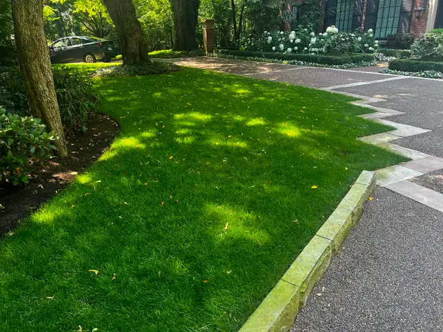 Lawn Aerating, Dethatching, Fertilizing, Top Dressing, Overseed - Photo 3